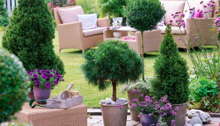 Stylische Sets | Haus und Garten