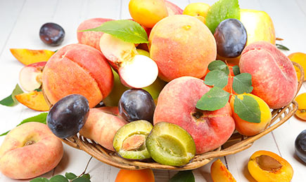 Terrassengarten! | Haus und Garten