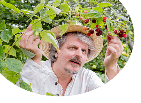 Katalog - -30% auf Erdbeereneinzelpflanzen - Haus und Garten Deutschland